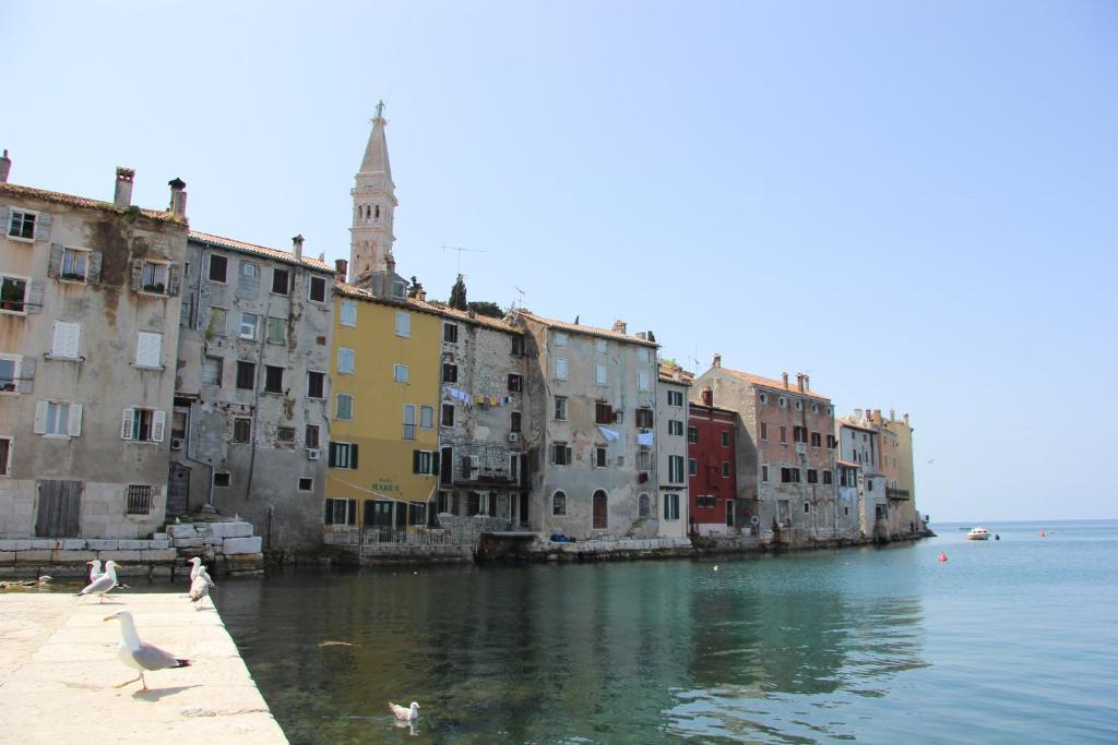 Apartmán Casa Svalba Rovinj Exteriér fotografie